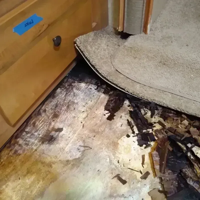 Best Wood Floor Water Damage Service in Eldon, MO